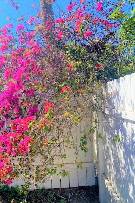 Bright And Beachy 2Bed 1Bath Home - Unit 210 Cocoa Beach Zewnętrze zdjęcie